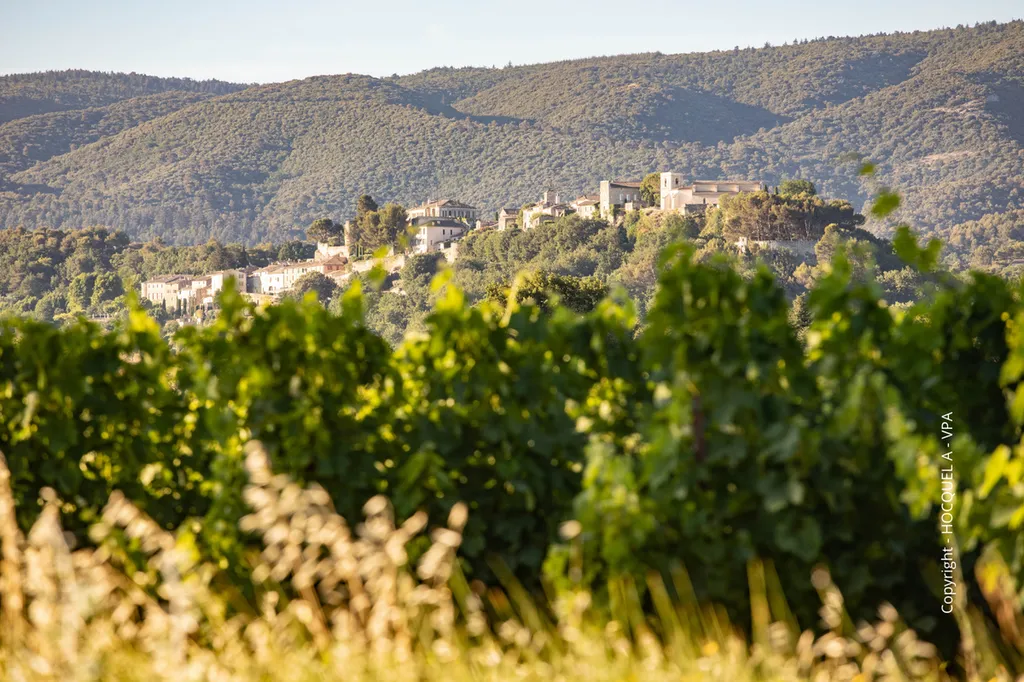 Discover Ménerbes, a Timeless Luberon Village of Art, Truffles, Wine and Authentic Provençal Charm