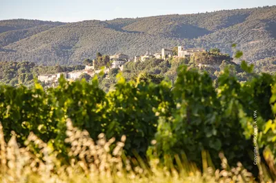 Discover Ménerbes, a Timeless Luberon Village of Art, Truffles, Wine and Authentic Provençal Charm