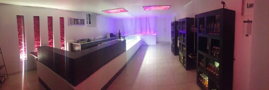 DOMAINE DU POURRET DANS LE VAR RESTAURATION EN STUC TERRE DU MONDE