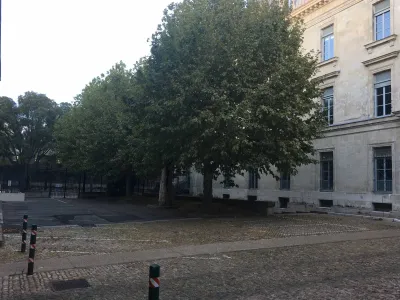 Entreprise pour élaguer des platanes à Avignon