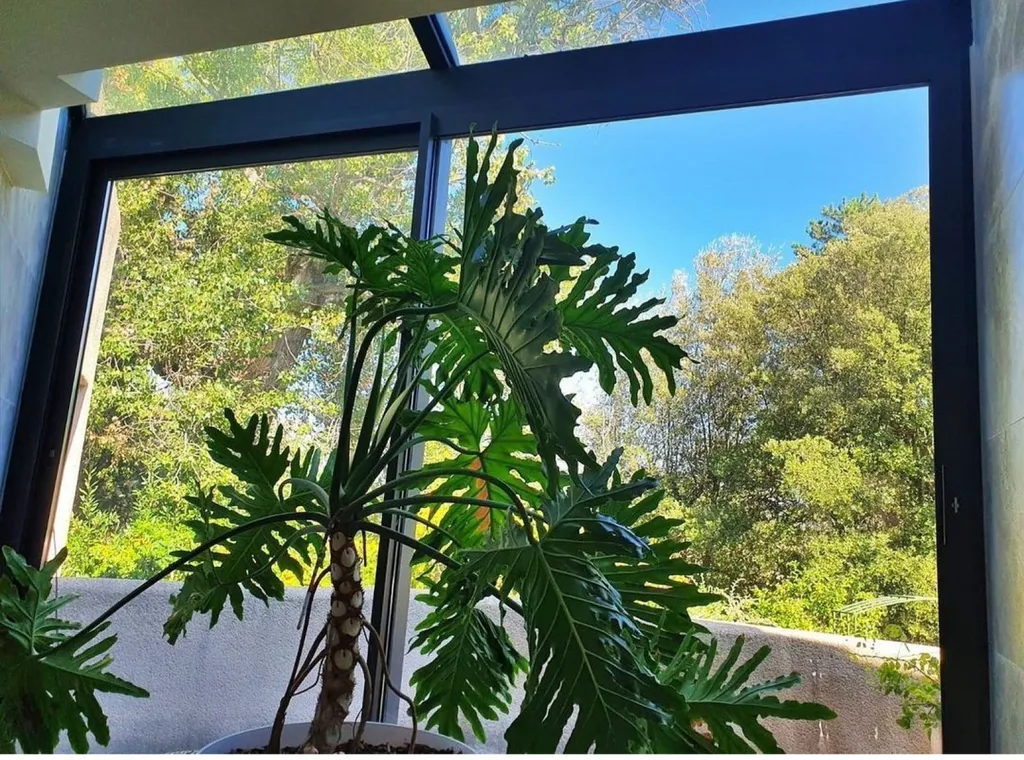 Extension d'une salle de bain avec une verrière en aluminium Technal à Gardanne