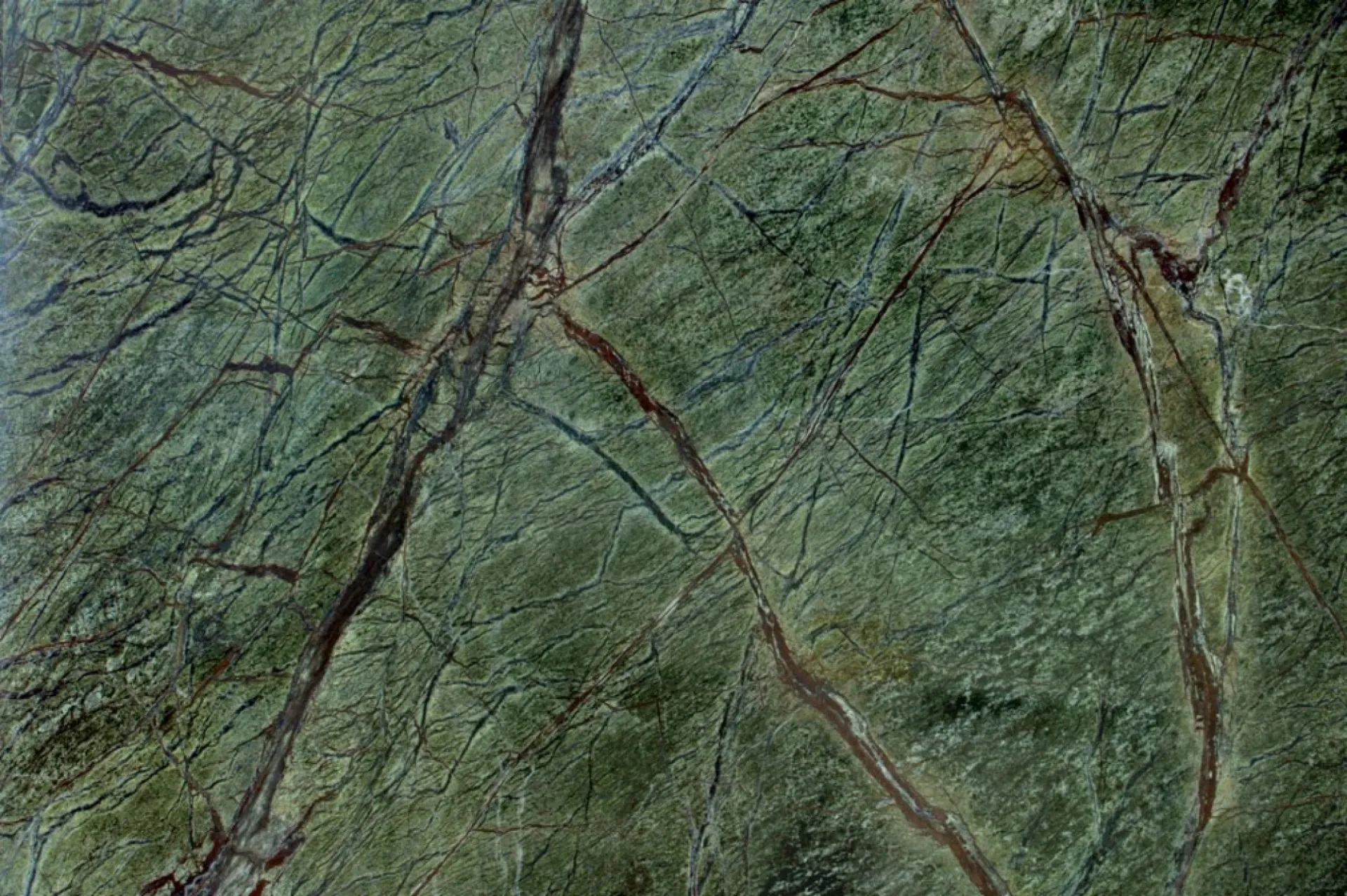 Rain Forest Green marbre vert