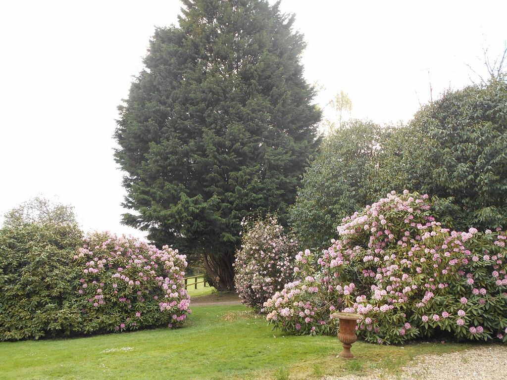 MANOIR AVEC PISCINE ET TENNIS A VENDRE EN NORMANDIE, CALVADOS 14