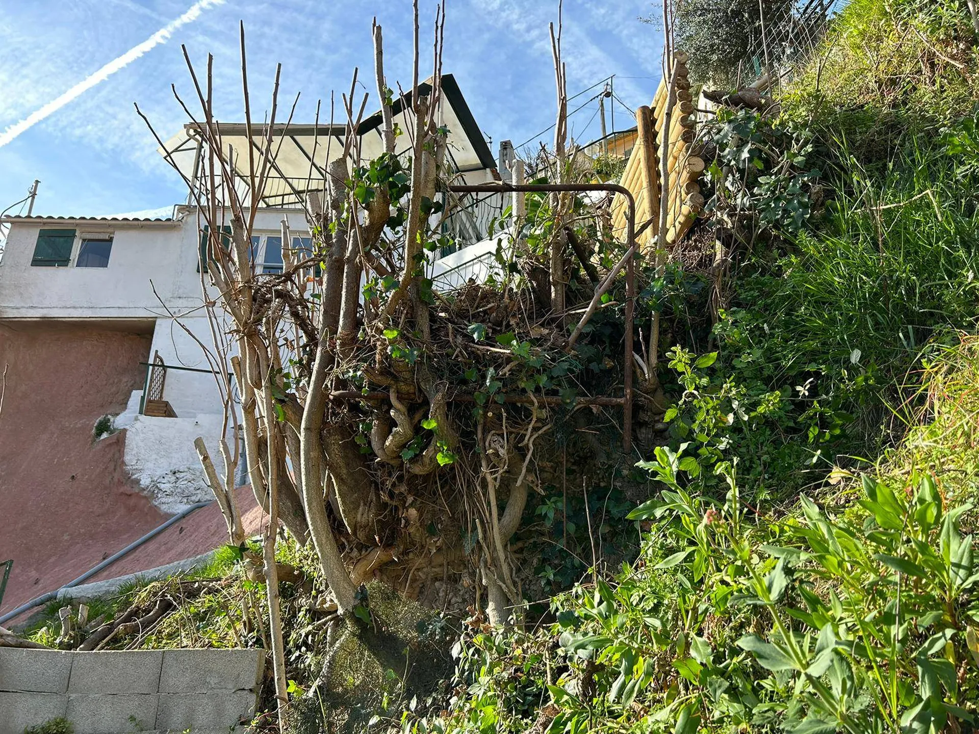 Stabilisation de talus vue de dessous avant réalisation à Nice Nord