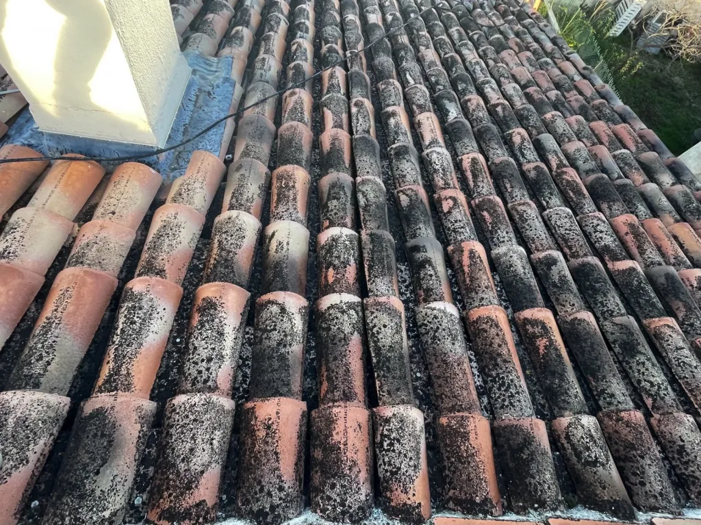 Intervention de couvreur pour un nettoyage de tuiles de toiture de maison près de Aix en Provence 