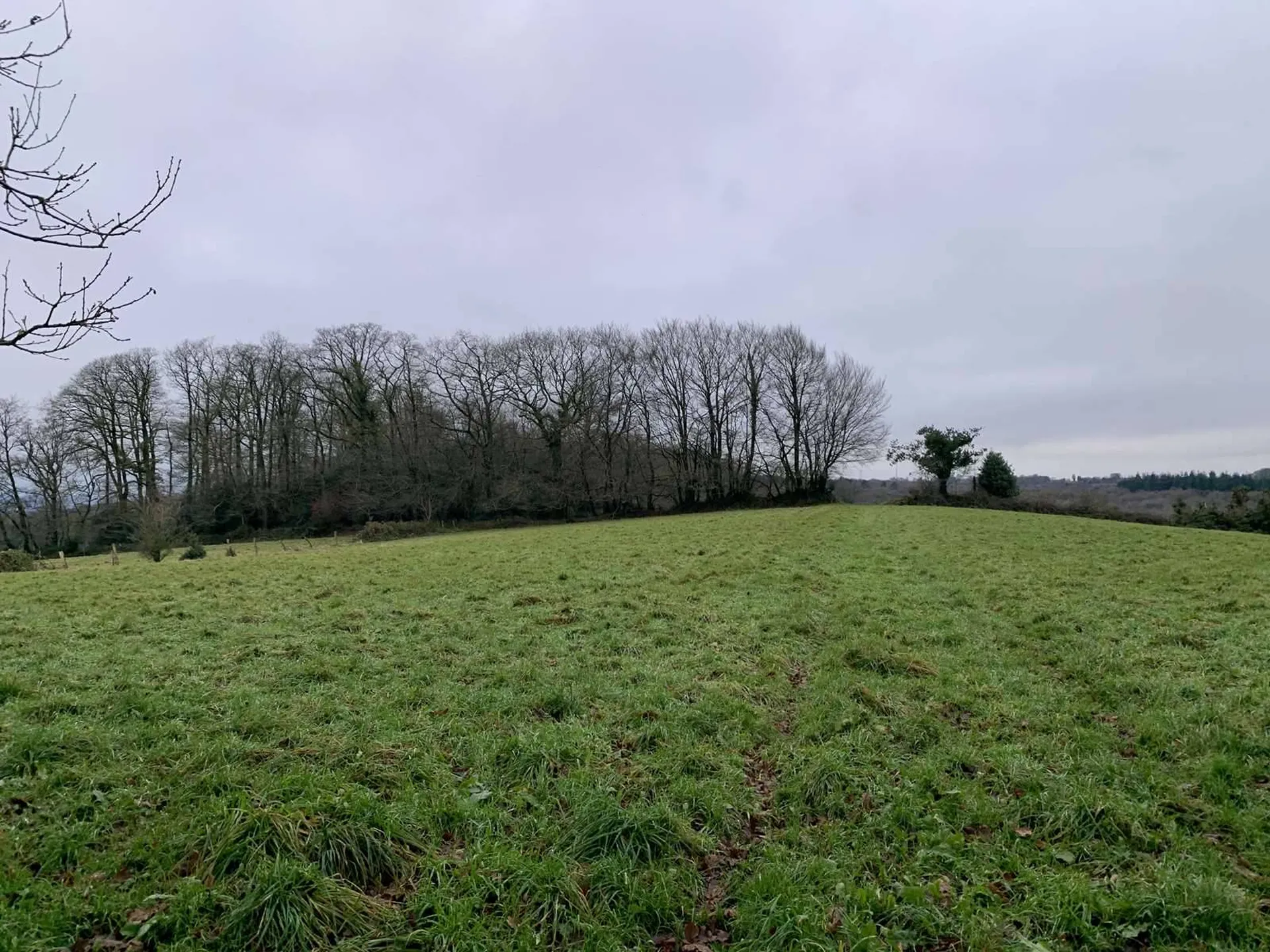 Région SOURDEVAL (MANCHE) Parcelles d'herbage et bois taillis sur 9 HA 10 A