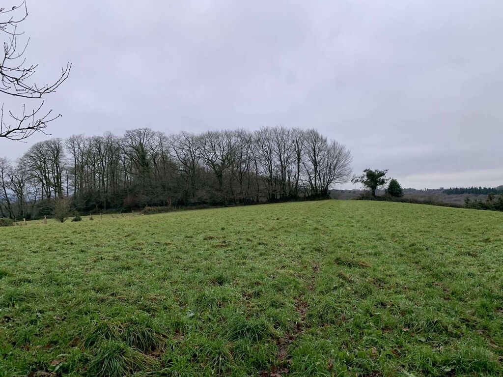 Région SOURDEVAL (MANCHE) Parcelles d'herbage et bois taillis sur 9 HA 10 A