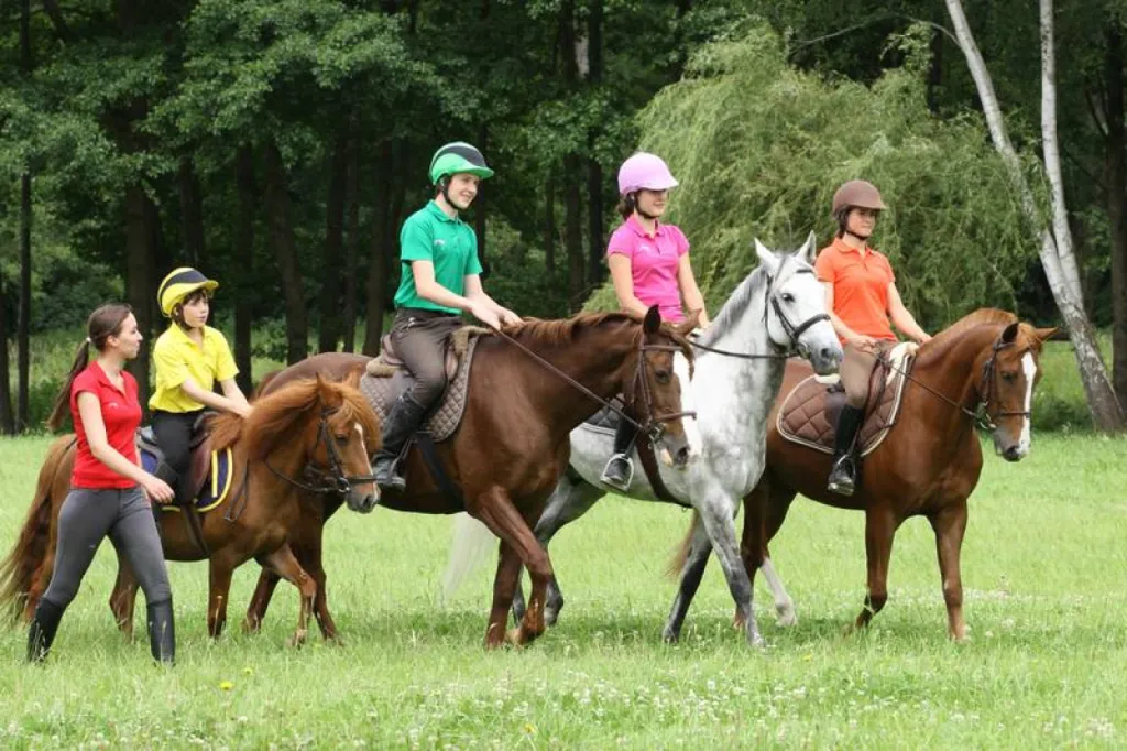 Stage d'équitation haut de gamme en France ou à l'étranger pendant les vacances scolaires