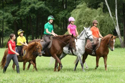 Stage d'équitation haut de gamme en France ou à l'étranger pendant les vacances scolaires