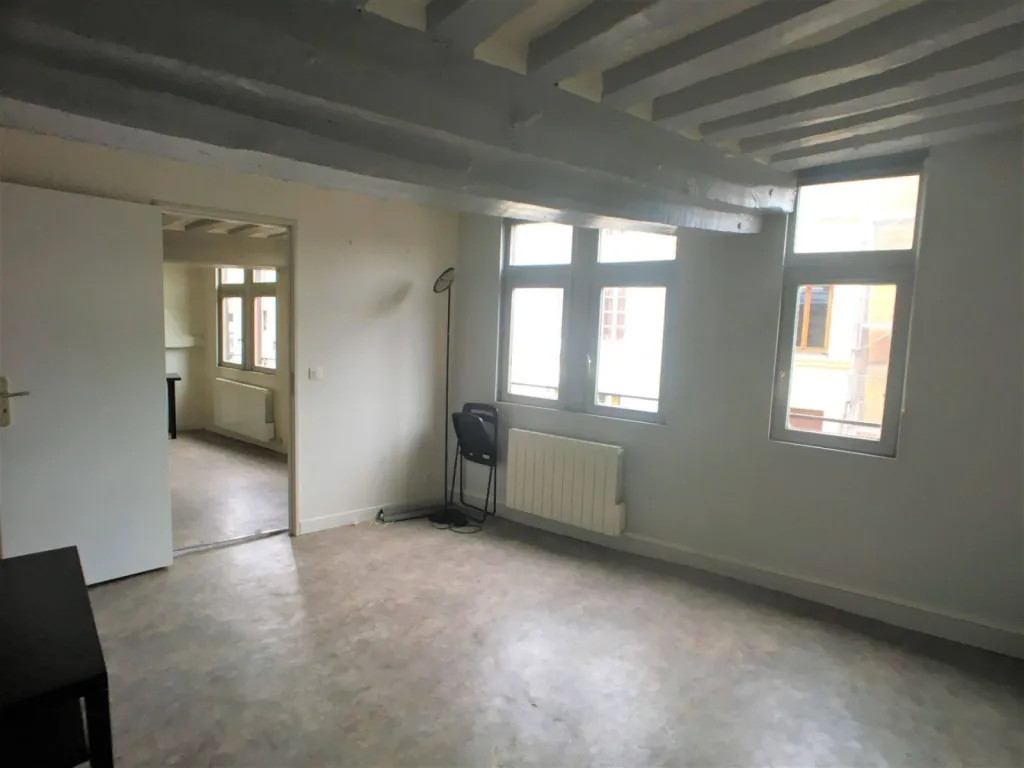 acheter un appartement avec cuisine ouverte dans le quartier de Saint-Vivien à Rouen (76) 