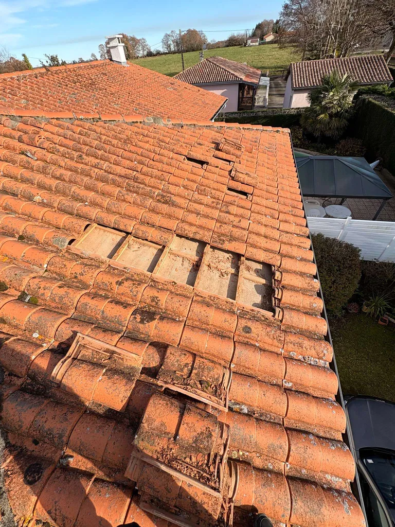 Changement de tuiles poreuse sur Lescar