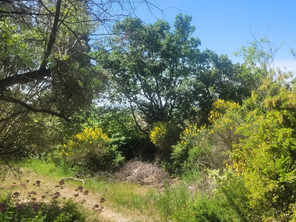 Terrain avec vue dégagée à Eguilles 