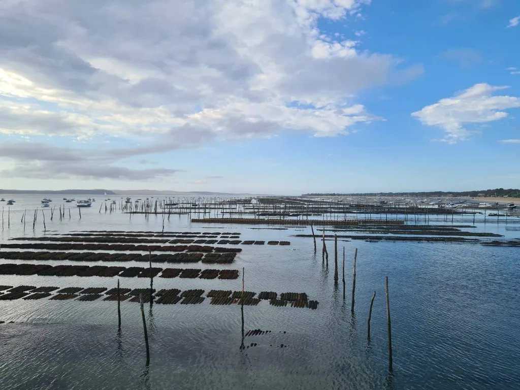 Fêtes des grands-mères sur le Bassin d'Arcachon !