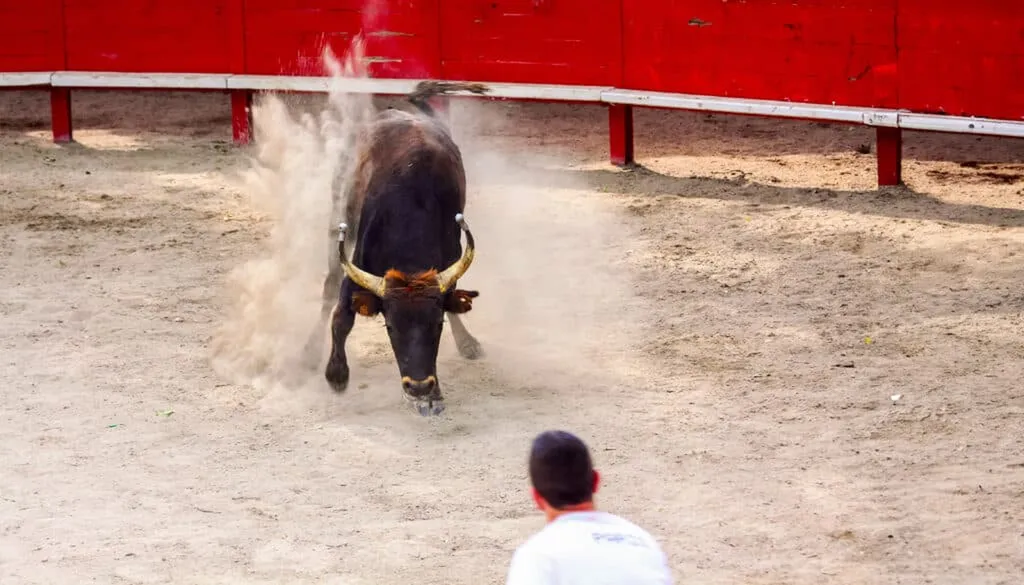 Journée découverte en Camargue : visite des Saintes-Maries-de-la-Mer, déjeuner typique aux Vagues et spectacle traditionnel de Course de Tau aux arènes