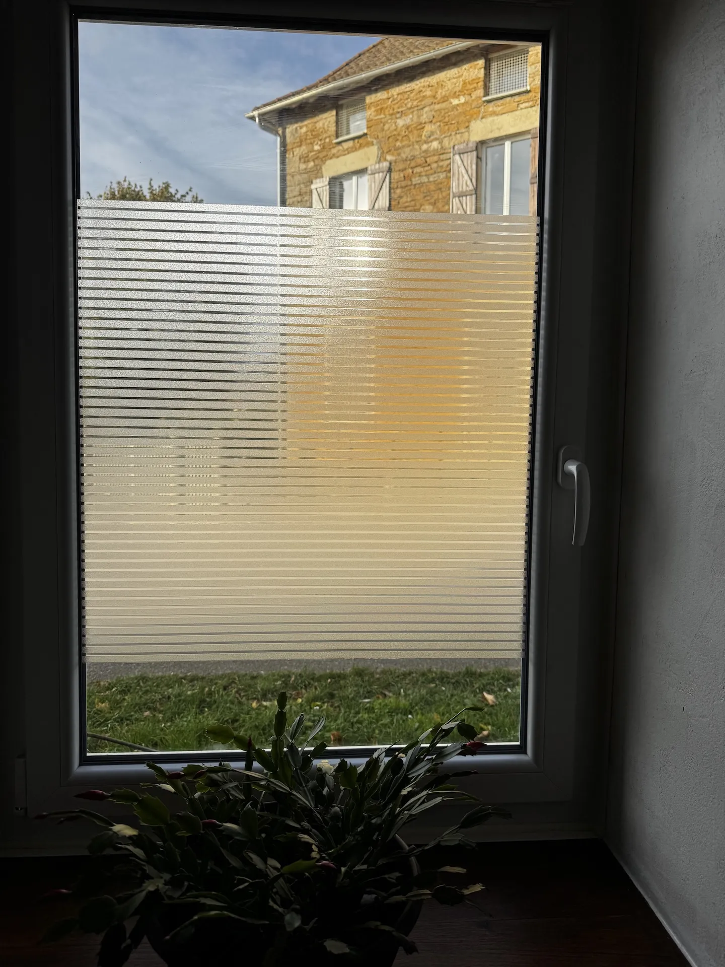 Pose de films pour vitrage à Ambérieu en Bugey