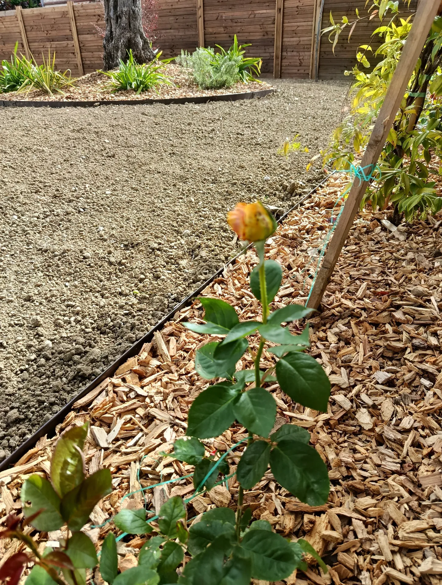 Arrosage intégré sur programmateur avec économie d'eau pour gazon et plantation à Tournefeuille proche de Colomiers.