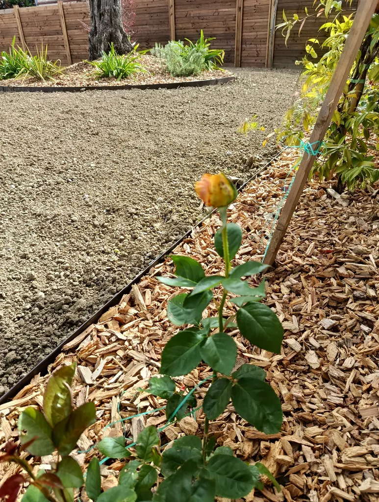 Arrosage intégré sur programmateur avec économie d'eau pour gazon et plantation à Tournefeuille, à coté de Colomiers.