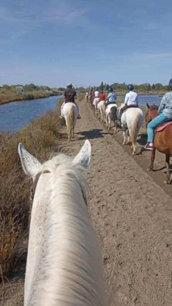 balade en groupe camargue a cheval 