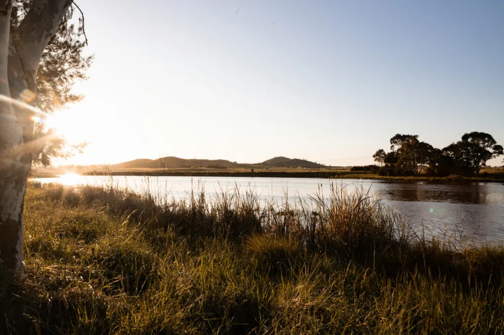 Coopérative agricole & jardinerie à Nice et Carros