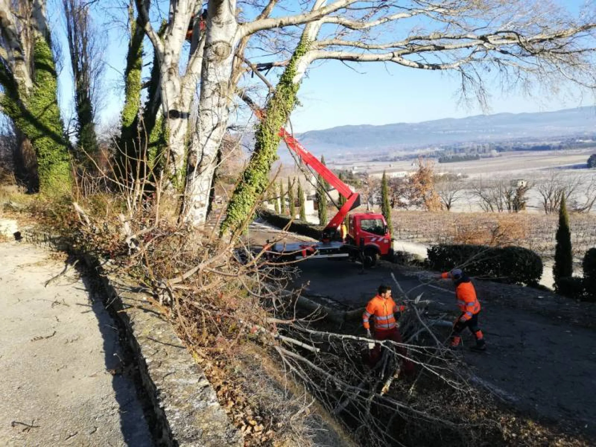 Élagueurs à Avignon pour l'abattage d’arbre en bord de route dans le Vaucluse