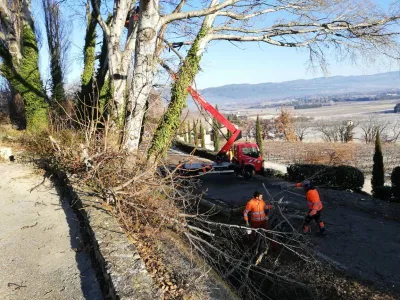 Élagueurs à Avignon pour l'abattage d’arbre en bord de route dans le Vaucluse