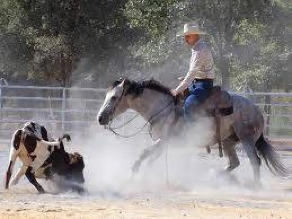 balade a cheval