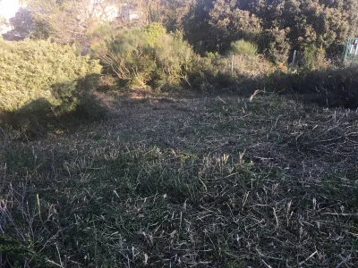 Parcelles de terrain dans le Gard nettoyées par une entreprise de débroussaillage