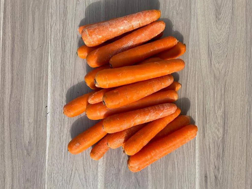 CAROTTES BIO