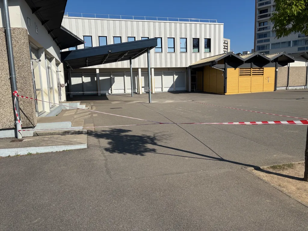 traitement contre guêpes et frelon périmètre de sécurité 