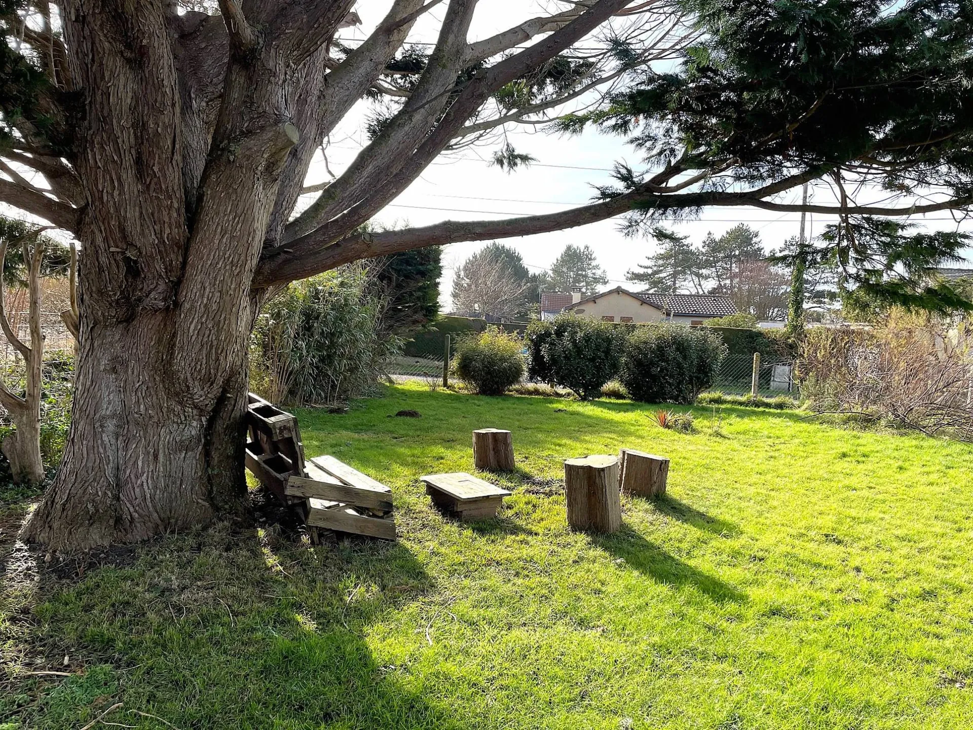 à l'ombre de mon arbre