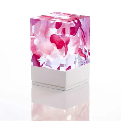 photo lampe design la D-cüb roses fond blanc socle blanc