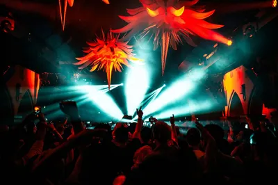 Assurance pour boîtes de nuit : F2L PRO, votre spécialiste près de Toulon et partout en France