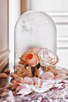 organisateur de mariage de luxe