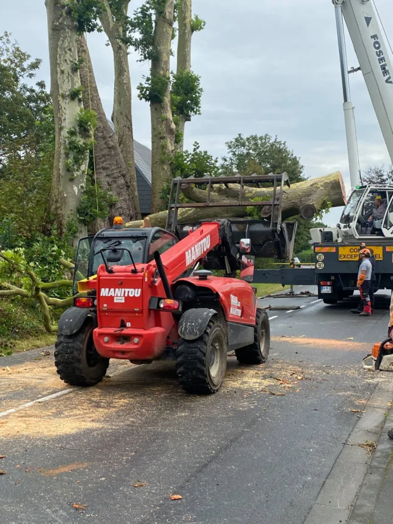 Abattage en démontage d'arbres dangereux à l'aide d'une grue proche de Fécamp 76