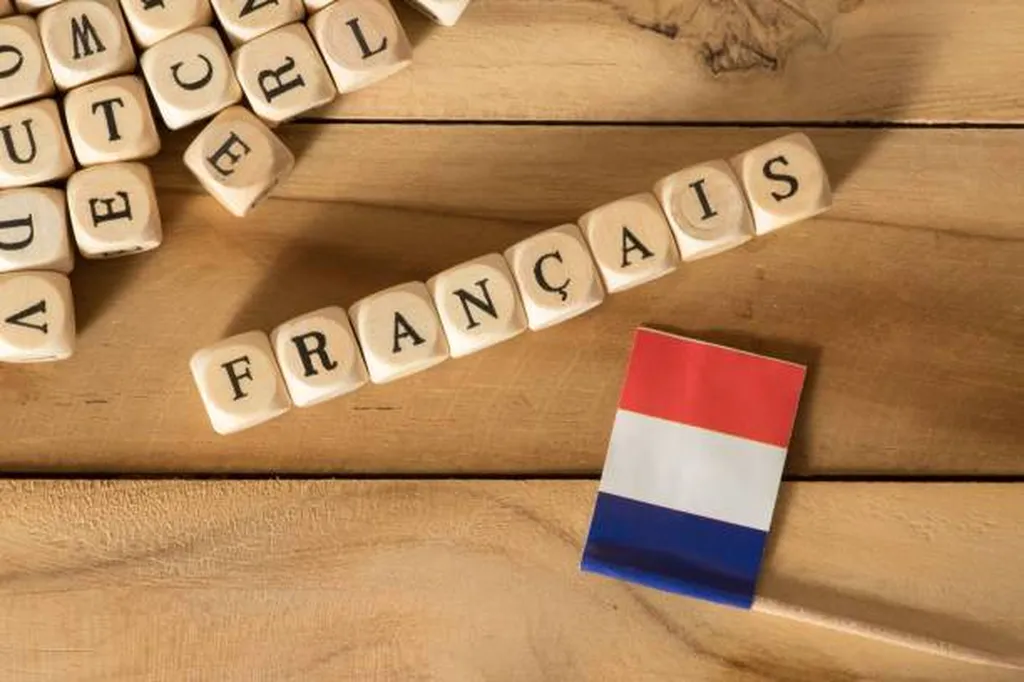 Programme de français