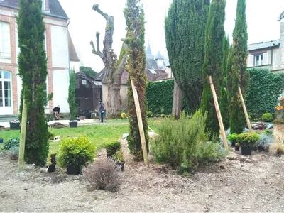 Création de terrasse, gazon de placage et massifs paysagers à Sens