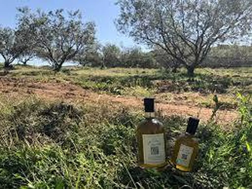 Clos Canarelli - Amphora rouge et blanc - Alta Rocca