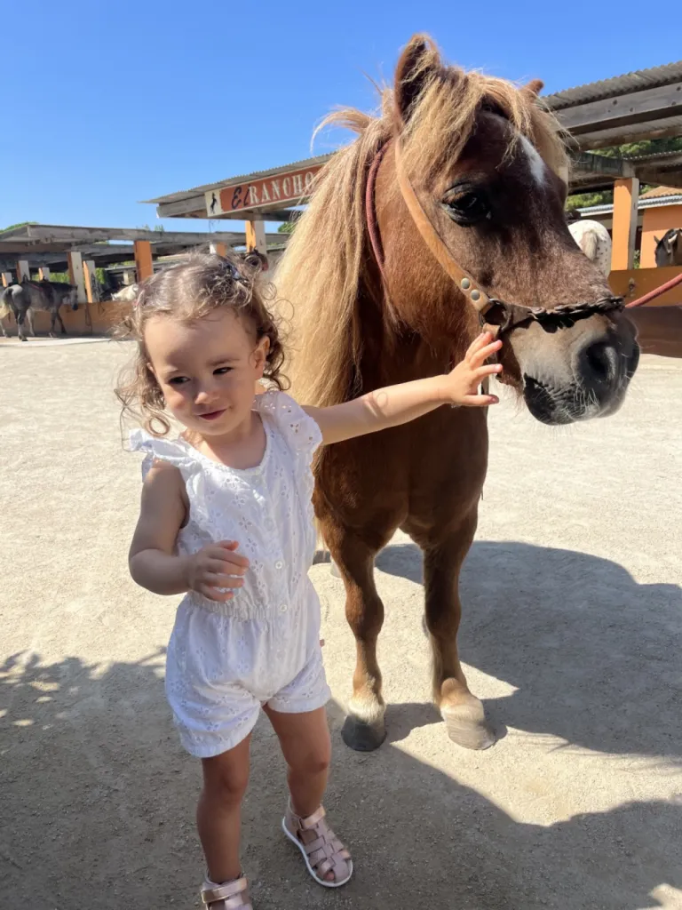 balade pour enfant en petit poney sur le Grau du Roi proche de L'espiguette
