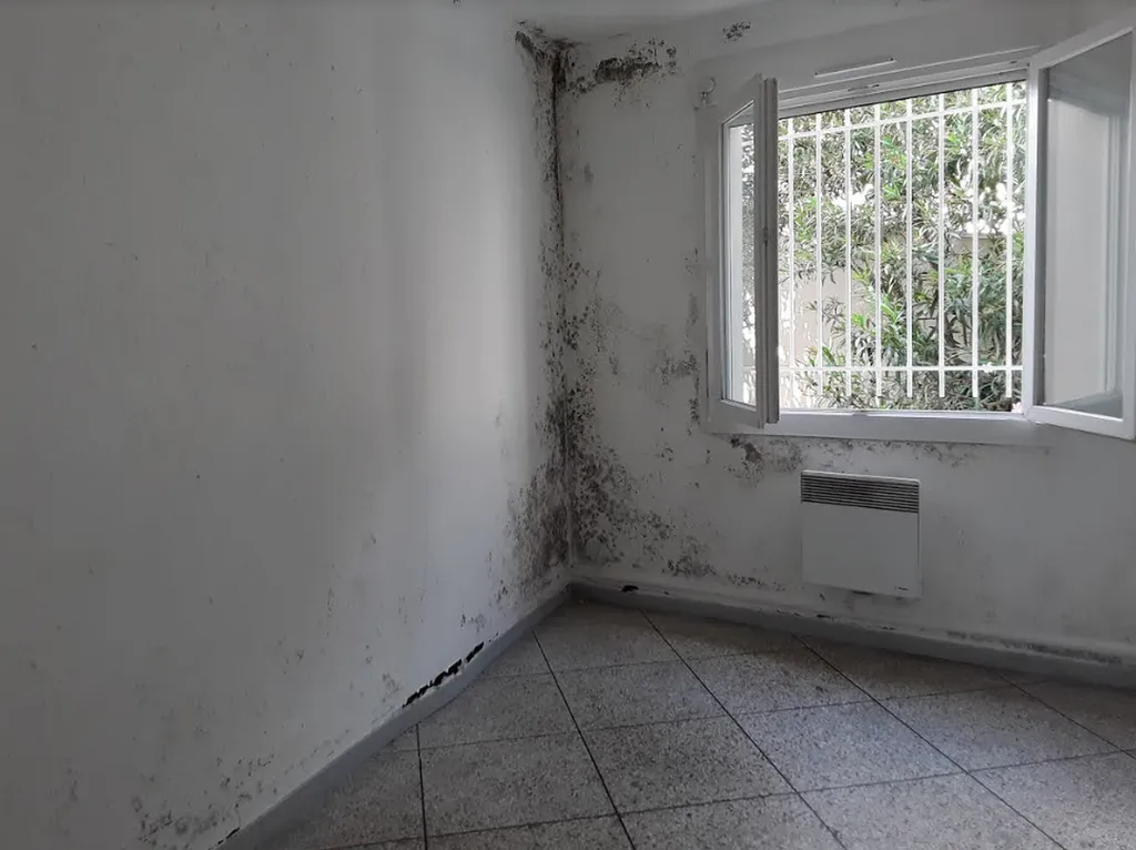 Eliminer les moisissures des murs d’une maison individuelle à Béziers, Hérault