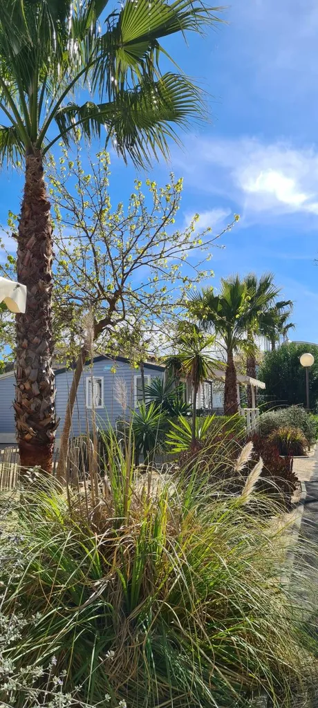 location de mobil home dans camping familial avec animations