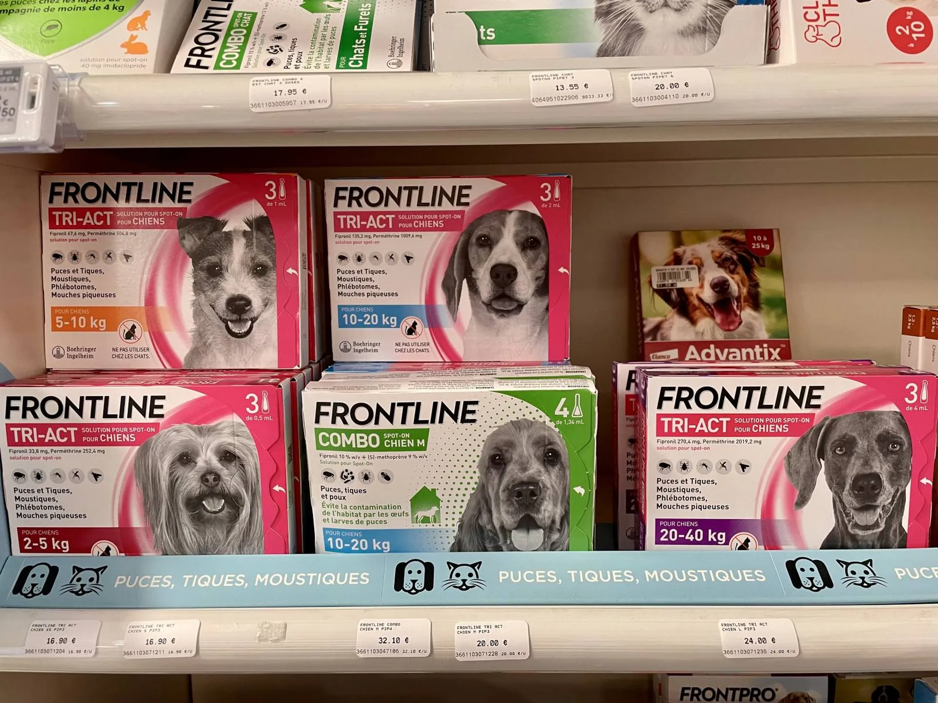 frontline combo en pharmacie