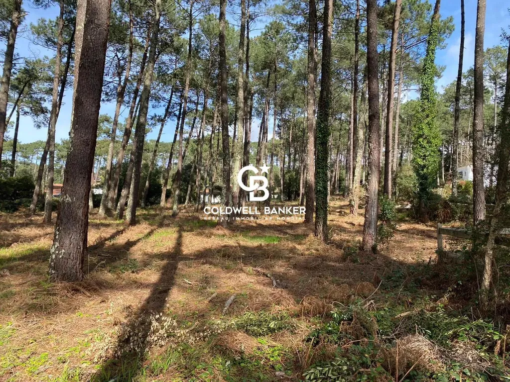 Terrain constructible quartier du Golf hossegor