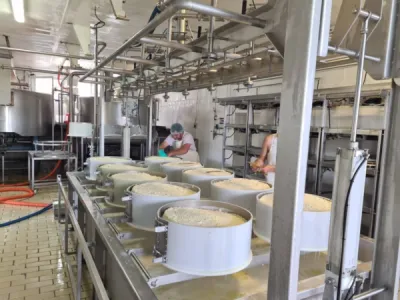 Fromages BIO pour grossistes