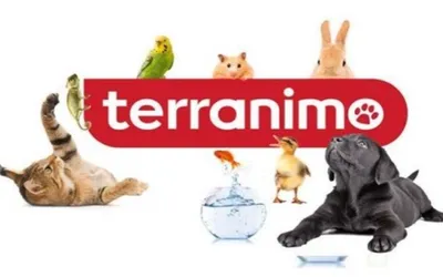 aniamalerie proche du bassin à la teste de bush