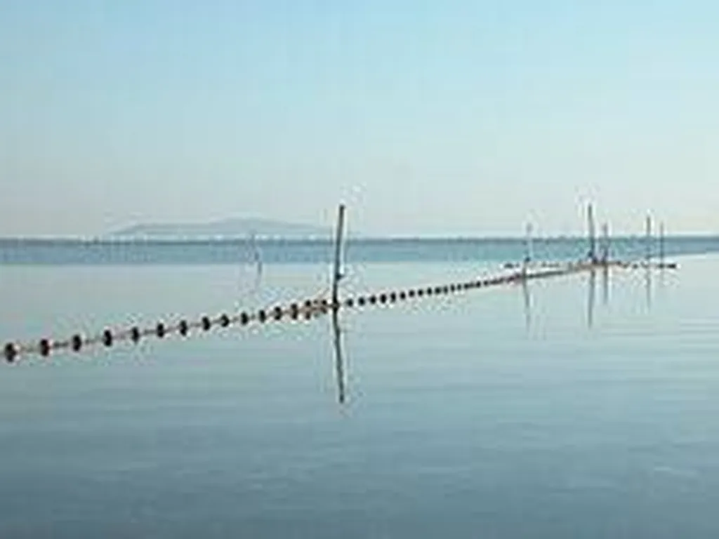 L'Etang de Thau à seulement 10 min de Vias bord de mer