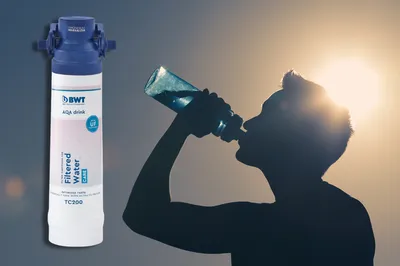 Filtre pour fontaine à eau sur réseau