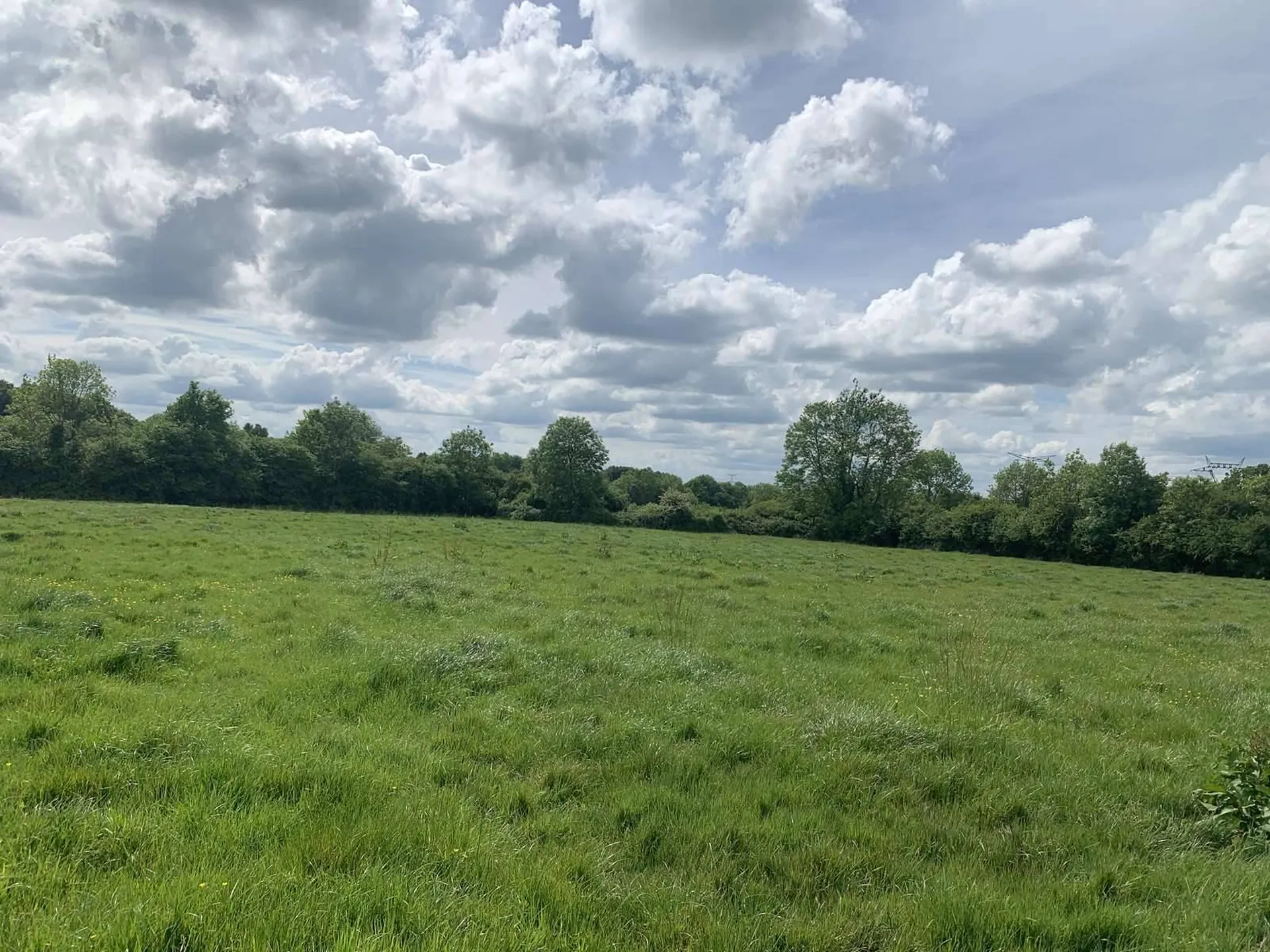A VENDRE région de CAMBREMER (14340) Propriété agricole comprenant une maison, bâtiments agricoles, sur une surface de 24 ha 70 a