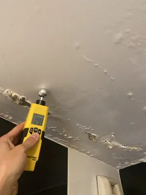 Faire intervenir un spécialiste en recherche de fuite d'eau derrière un mur sans casse à La Rochelle dans le 17 suite à dégât des eaux