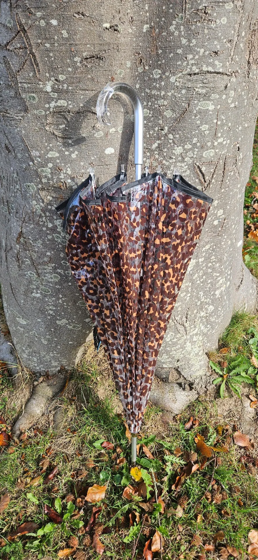 Parapluie cloche Isotoner transparent PVC/léopard beige disponible chez Evasion Eu