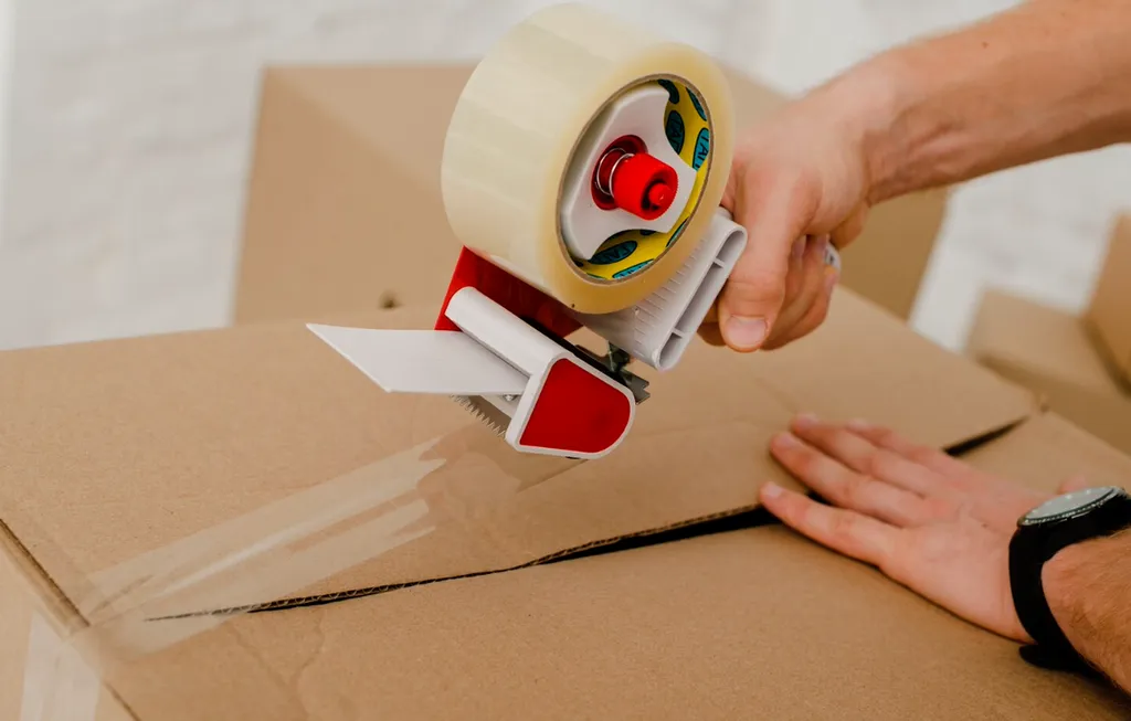 Pourquoi les poissons d’argent apparaissent après un déménagement à Toulouse 